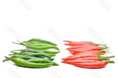 Multi-colored peppers on a white background