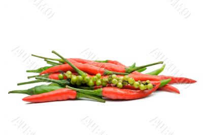 Multi-colored peppers on a white background