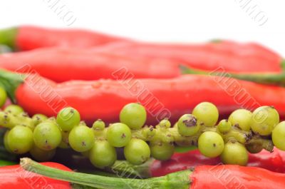 Multi-colored peppers on a white background