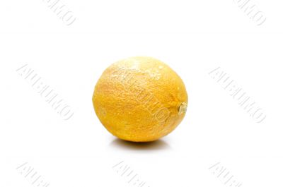 Old and dry the lemon