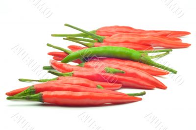 Multi-colored peppers on a white background
