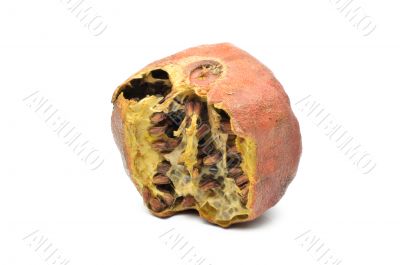 Old Pomegranate