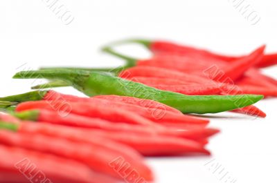 Multi-colored peppers on a white background