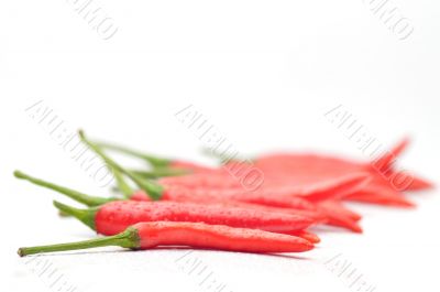 Red hot chili peppers on white background