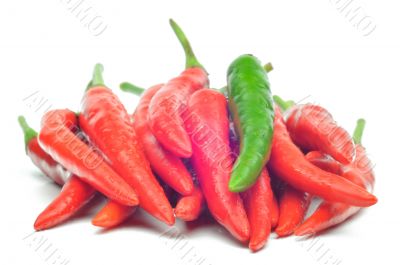 Multi-colored peppers on a white background