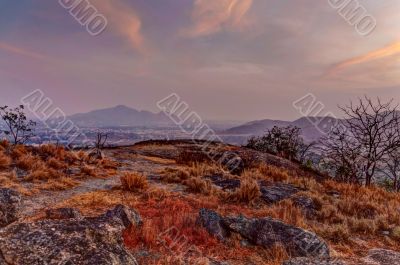 Dried flora in mountains at sunset