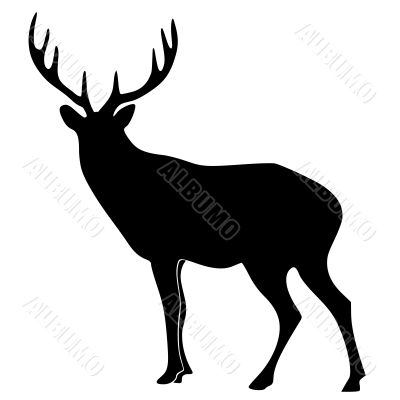 illustration of deer