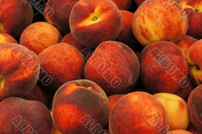 fresh  peaches