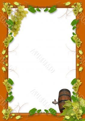 vines and grapes