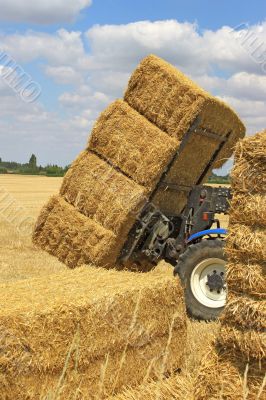 haystack