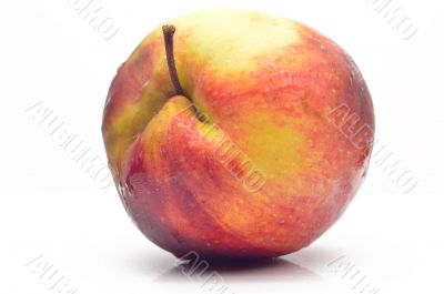 A large fresh apple
