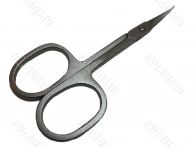 Scissors for hand nails isolated on the white background