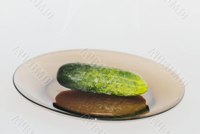 vegetables  