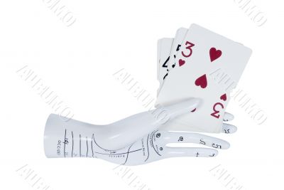 Palm Reading Hand Model With Cards