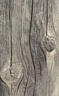 Old wooden texture background monochrome