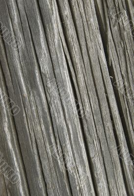 Old cracked wood