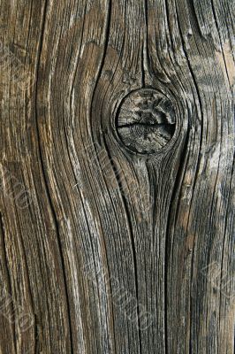 Old cracked wood