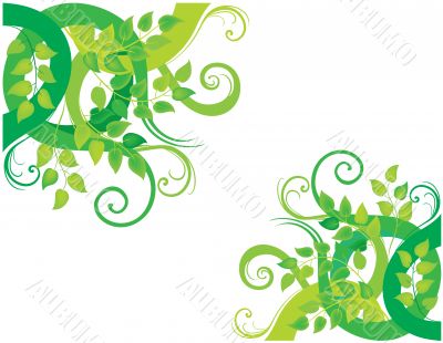 Green decorative background