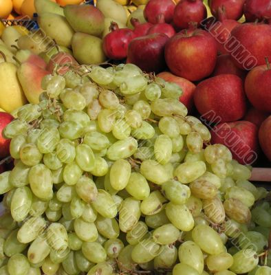 bunches of ripe grapes