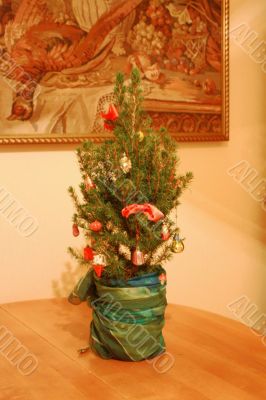 Christmas Tree in the kitchen