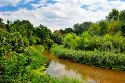 The river on a sunny day