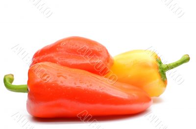 Bulgarian pepper