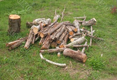 Firewood for stove