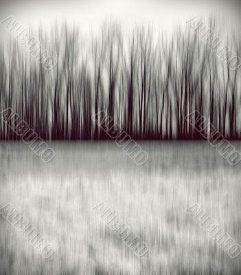Blurred trees