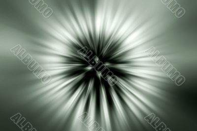 Flashing seed fly