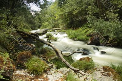 Umia River, Caldas de Reis, Spain