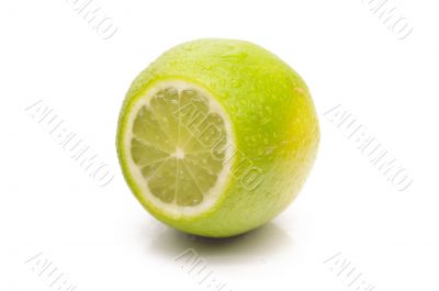 Juicy lime on a white background