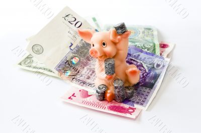 pig with coins and money