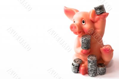 pig with coins and money