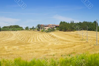 Field