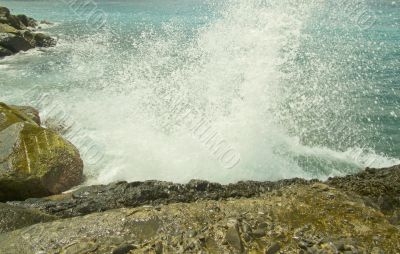 Sea