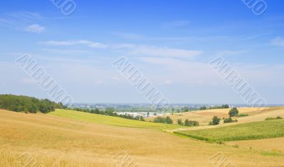 Field