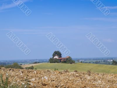 Field