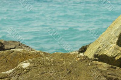 Sea