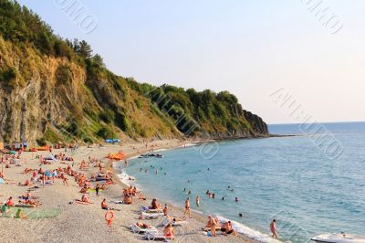 summer landscape with beach