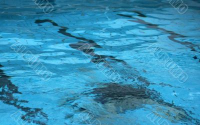 diving