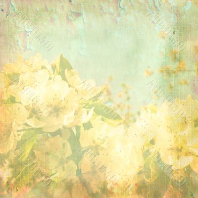 Jasmine in spring - abstract background