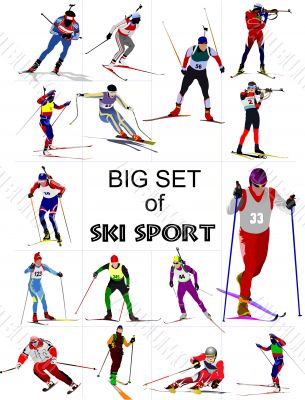 Big set of Ski sport colored silhouettes. Vector illustration