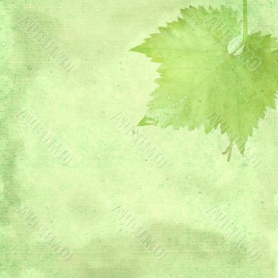 Green background for the photo book