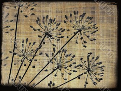 Vintage background.