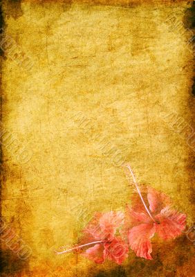 vintage background image with a tropical flower hibiskus