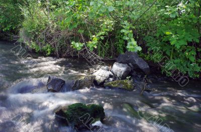 River and stone. Composition of the nature 