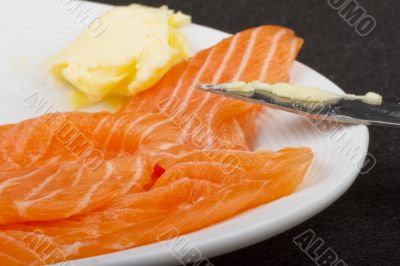 Salmon