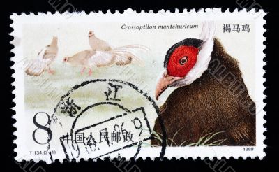 A stamp printed in China shows Brown Eared Pheasant