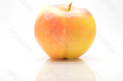 Rose apple