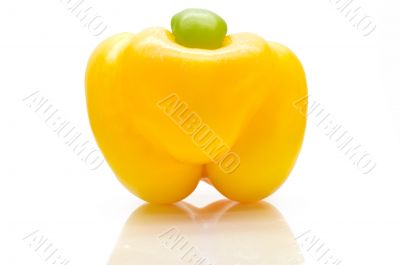 Bulgarian pepper